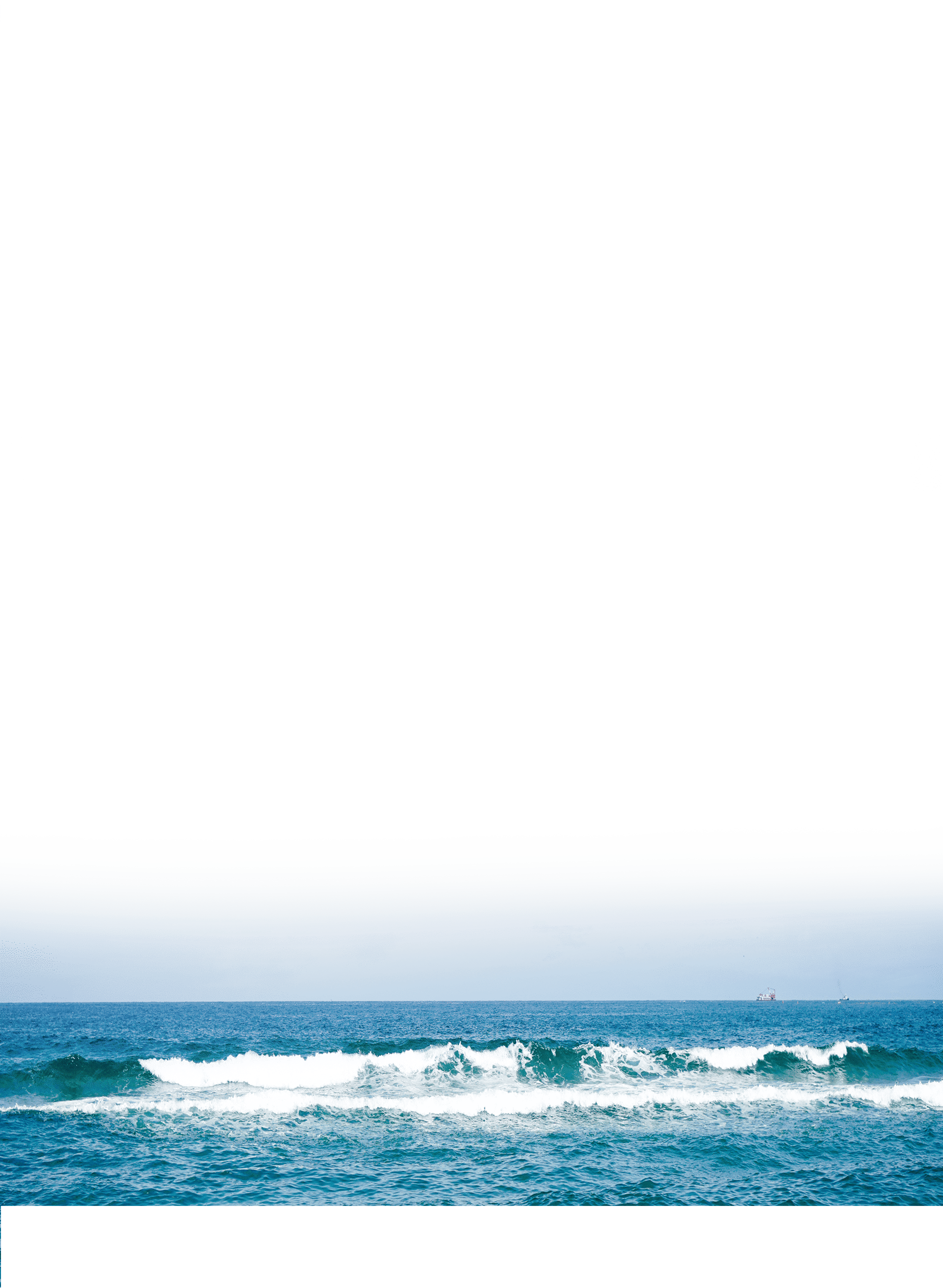 fcon02_bg